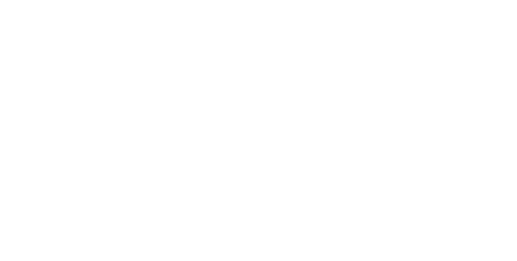 Baltaris Logo